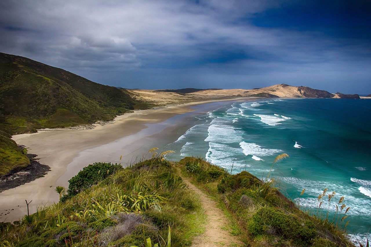 Strand Nelson
